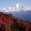 2024/04/106956-nepal-himalayas-mountains