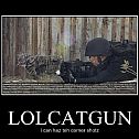 2009/05/lolcat