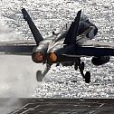 2009/07/hornet-start