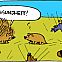 2009/07/gesundheit