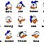 2009/09/donald-drogen