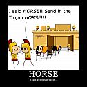 2009/11/horse-demotivational-poster-1257055475