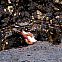 2009/11/img-0921