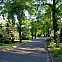 2009/11/wikimedia-nordfriedhof-hauptweg
