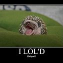 2009/12/threadbombing-17-i-lol