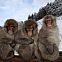 2010/01/stern-2010-kw-04-57-maxsize-735-490