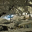 2010/02/spiegel-image-56419-galleryv9-hxbi
