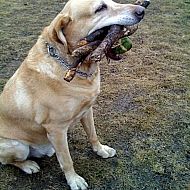 2010/02/your-images-04