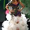 2010/06/victorias-secret-fashion-show-2009-01