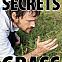2010/09/4chan-1283019286897