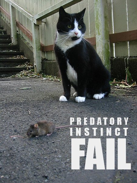 2009/05/017-fail