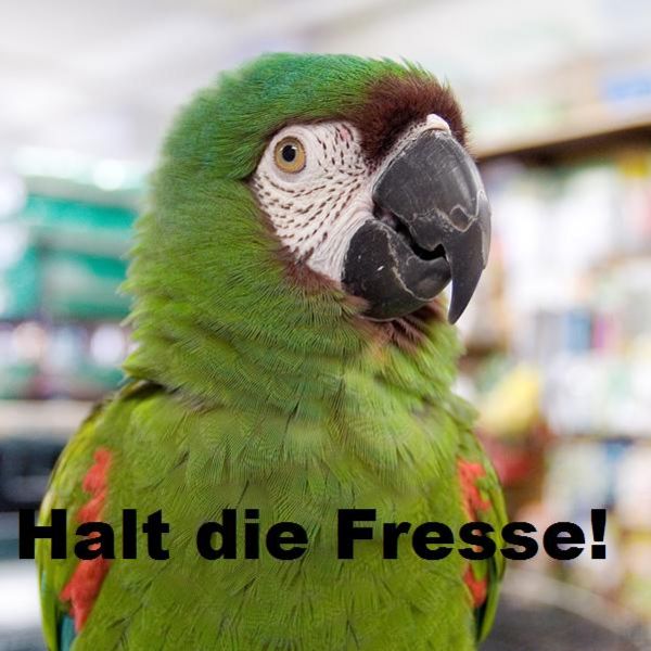 2009/05/1210957338001