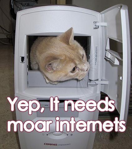 2009/05/4chan-1211994200920