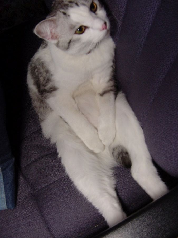2009/05/77693258