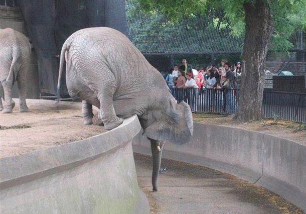 2009/05/daily-mixed-picdump-16-17