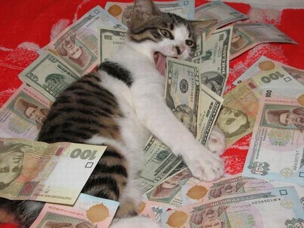 2009/05/daily-mixed-picdump-16-18