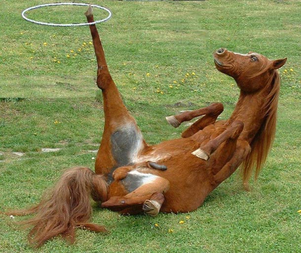 2009/05/daily-mixed-picdump-16-20