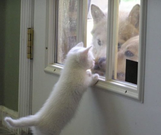2009/05/funpics34-12-thumbnail