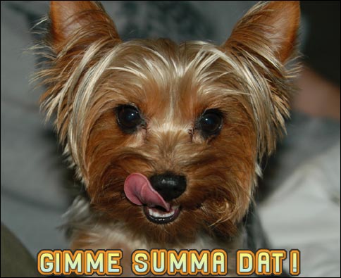 2009/05/gimme-sum-a-dat