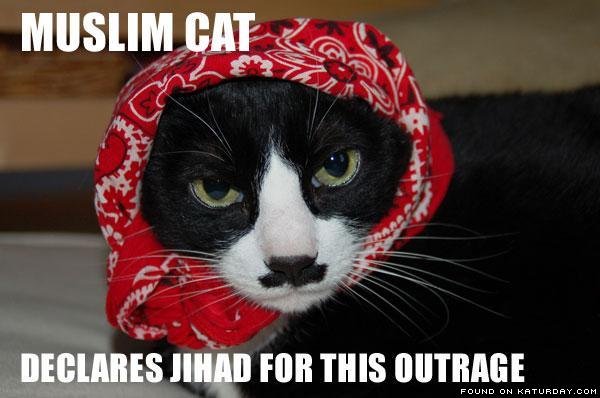 2009/05/katurdaycom-muslimcatjihad