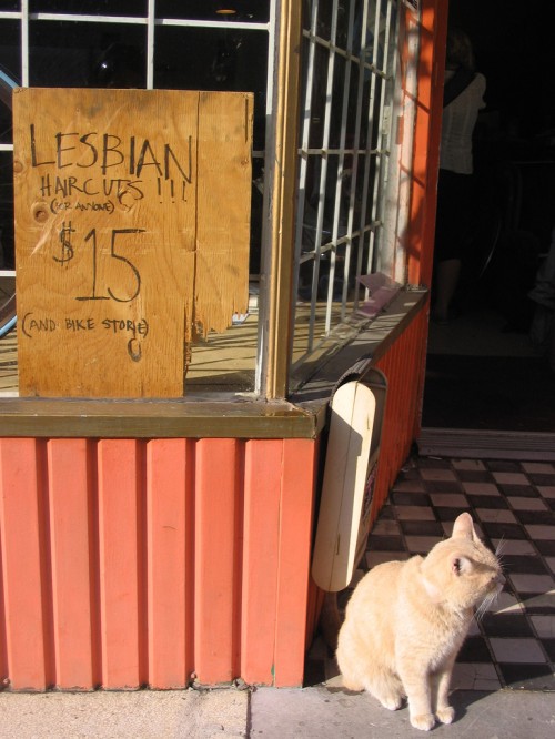 2009/05/katze