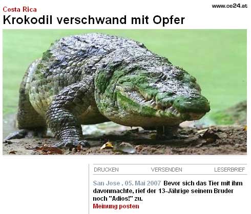 2009/05/kroko
