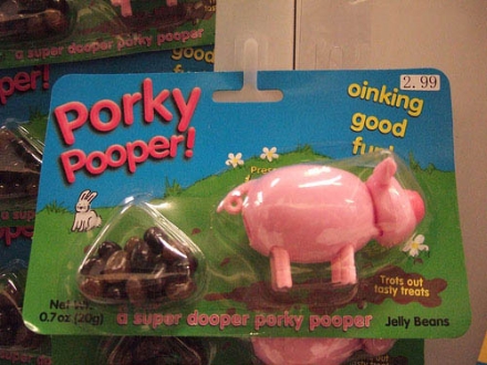 2009/05/pooper