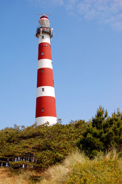 2009/05/spiegel-0-1020-1529029-00