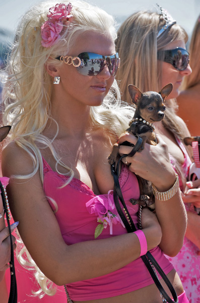 2009/05/spiegel-0-1020-1539085-00
