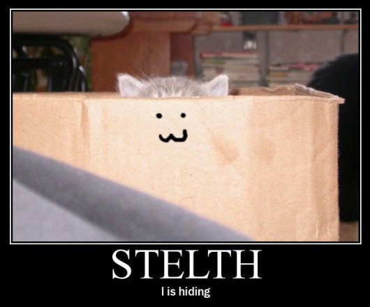 2009/05/steath
