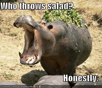 2009/05/wordpress-funny-pictures-hippo-salad-thrown