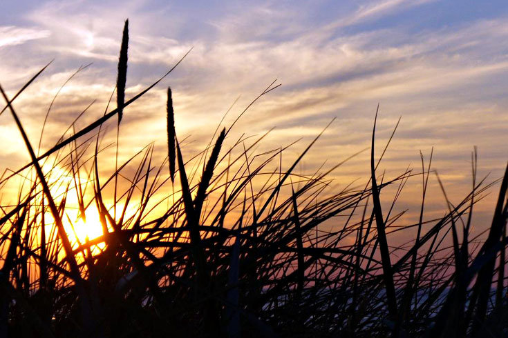2009/08/strcdn-schoenwetter-13082009-01-fitin-735-490