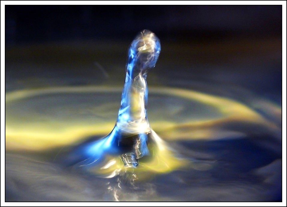 2009/11/16494829
