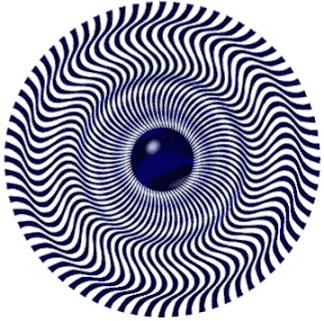 2009/12/1260219288001