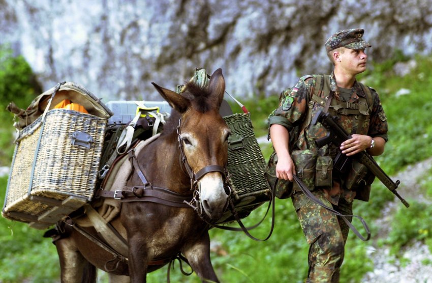2010/02/spiegel-image-57279-galleryv9-rxjh