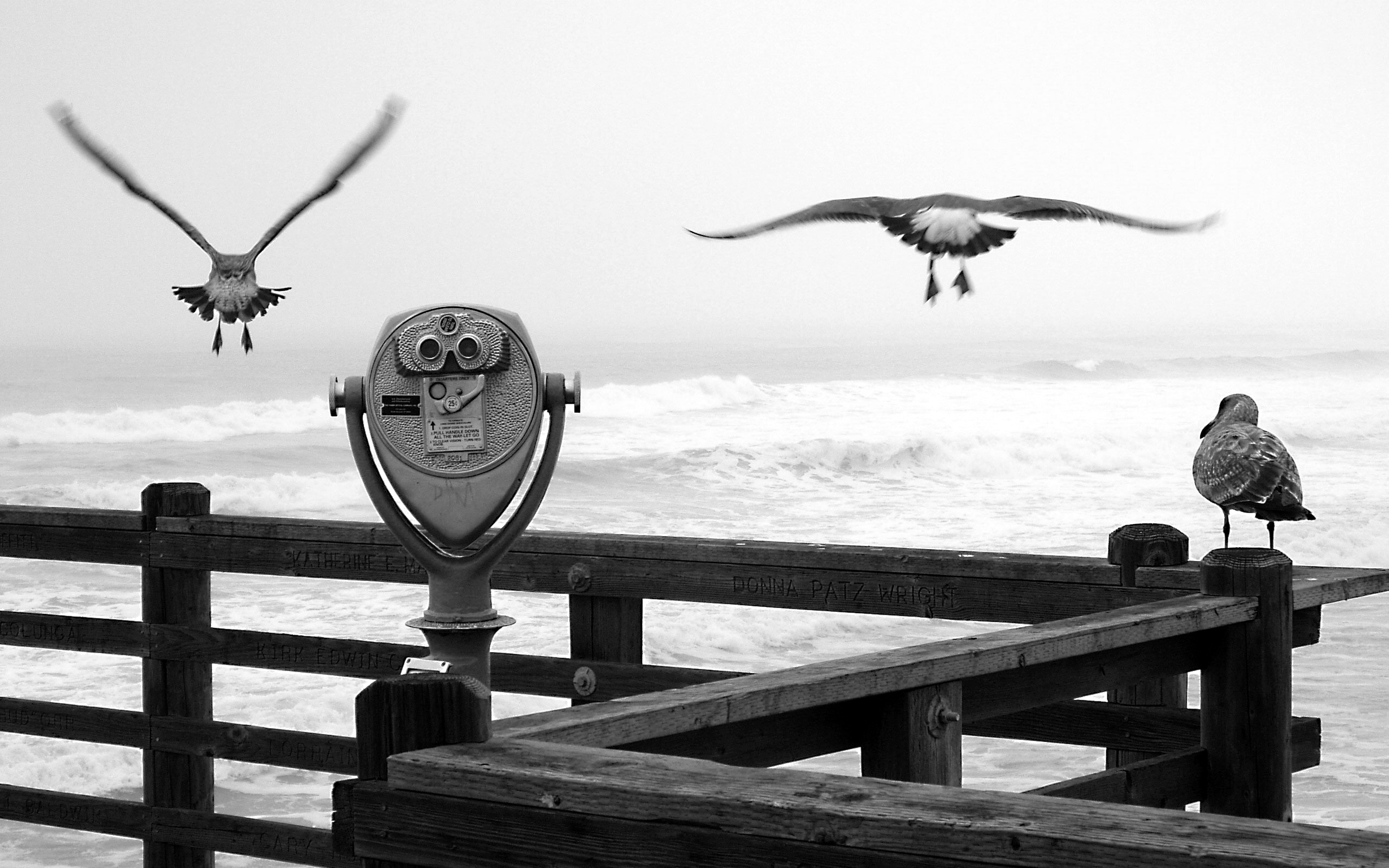 2010/09/00898-threebirdsonapier-2560x1600