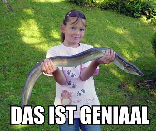 2010/09/1279363579001