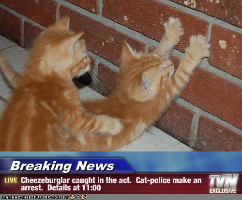 2010/09/cop-cat-711140
