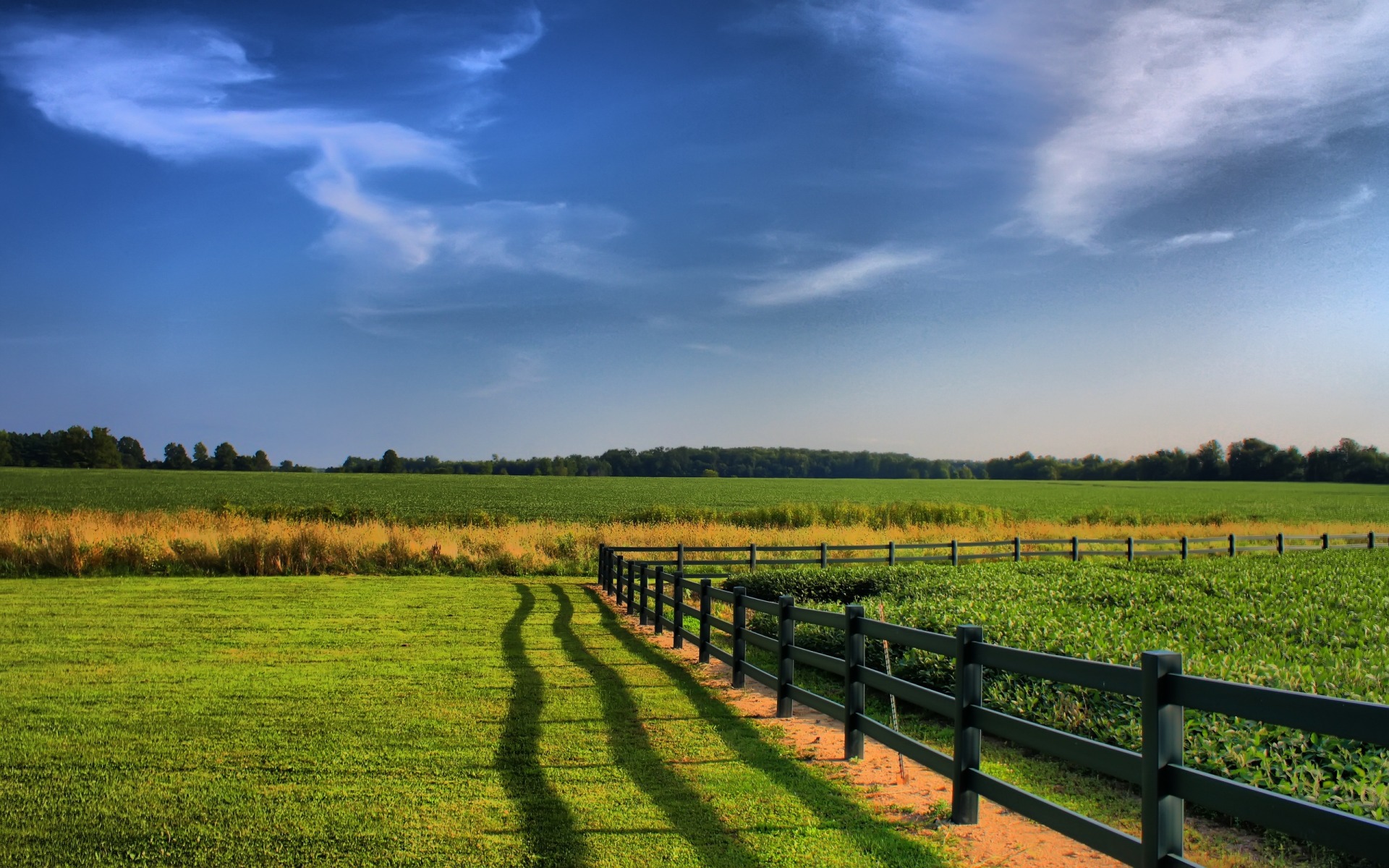 2010/09/fence-1920-1200-4246