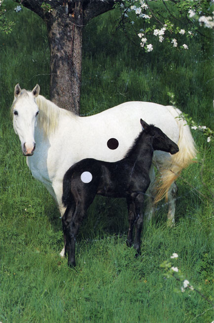 2010/09/horse-2