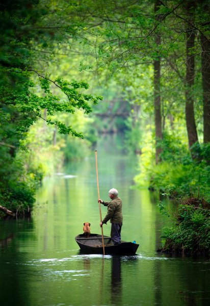 2010/09/image-122479-galleryv9-bnhz