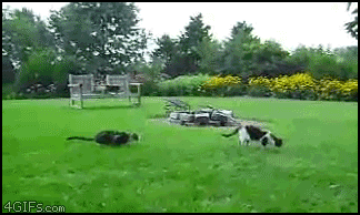 2010/09/imgur-pkpwt