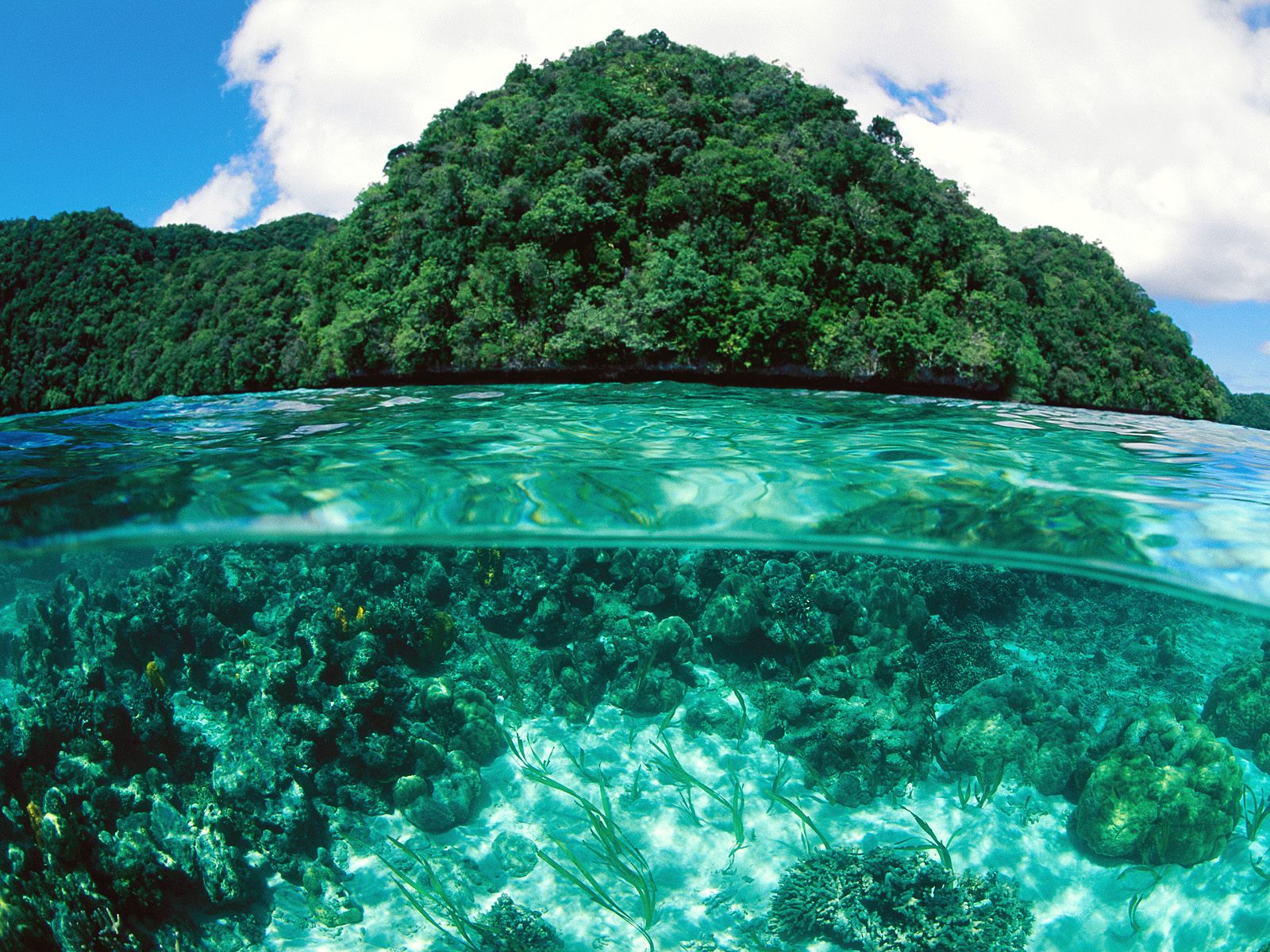 2010/09/limestone-island-palau