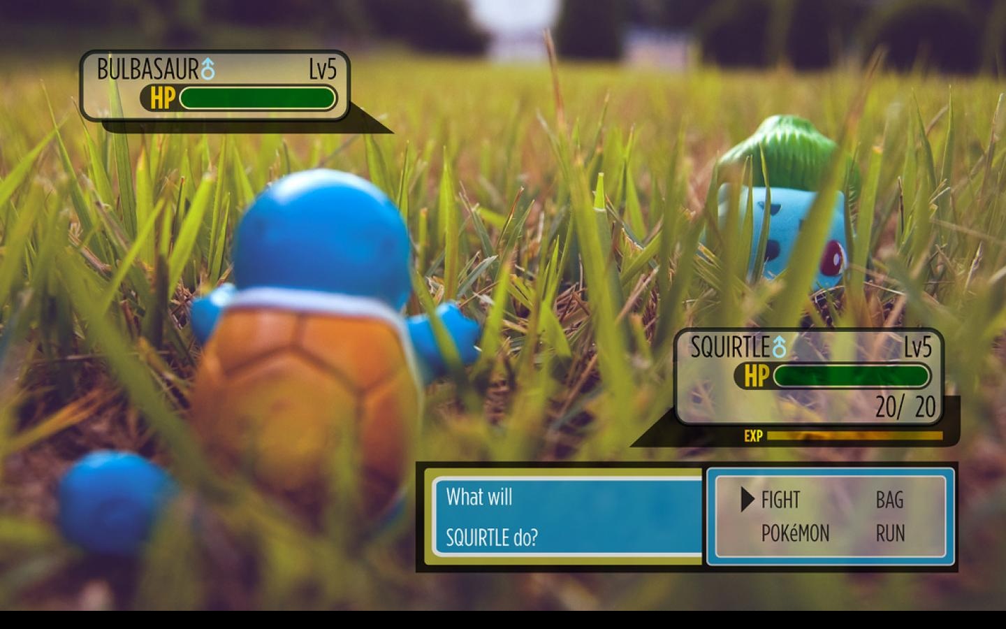 2010/09/pokemon-fight