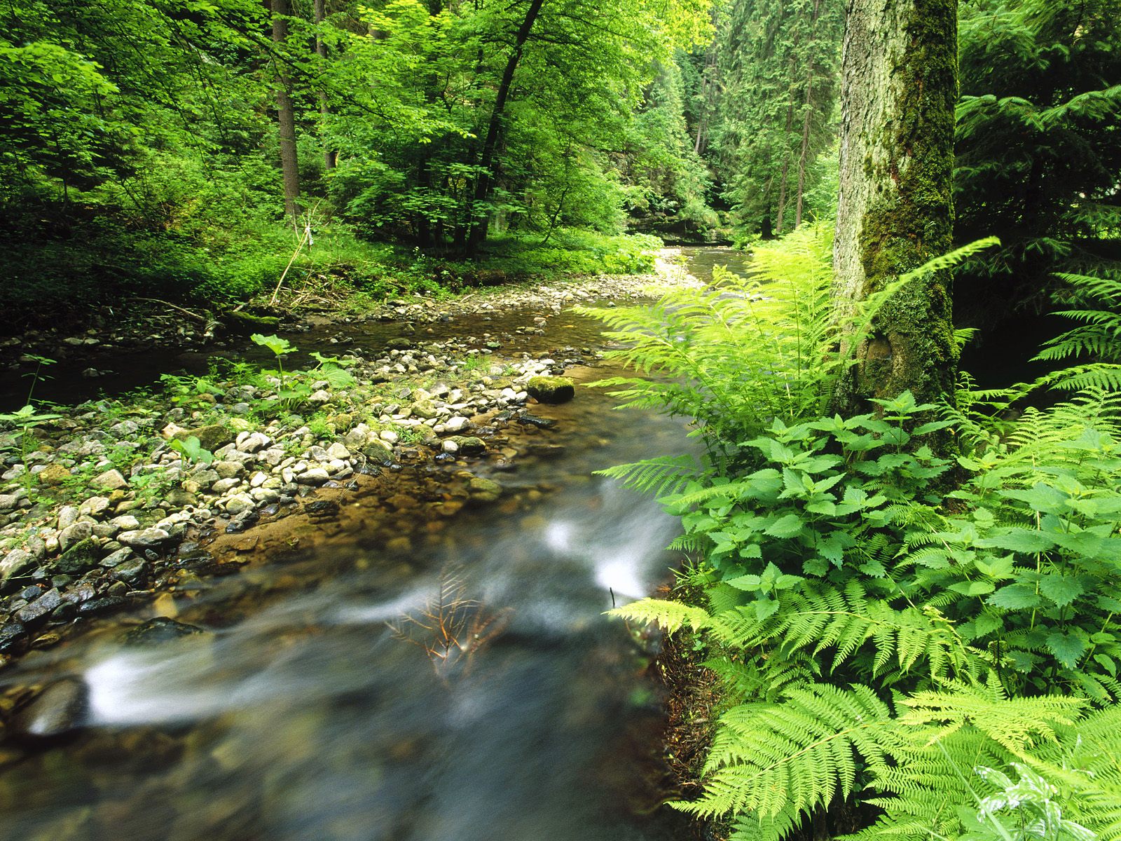 2010/09/polenz-saechsische-schweiz-national-park-germany
