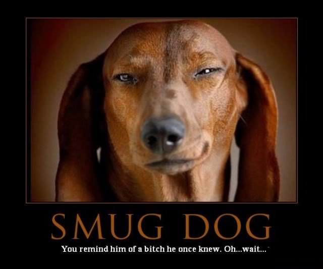 2010/09/smug-dog