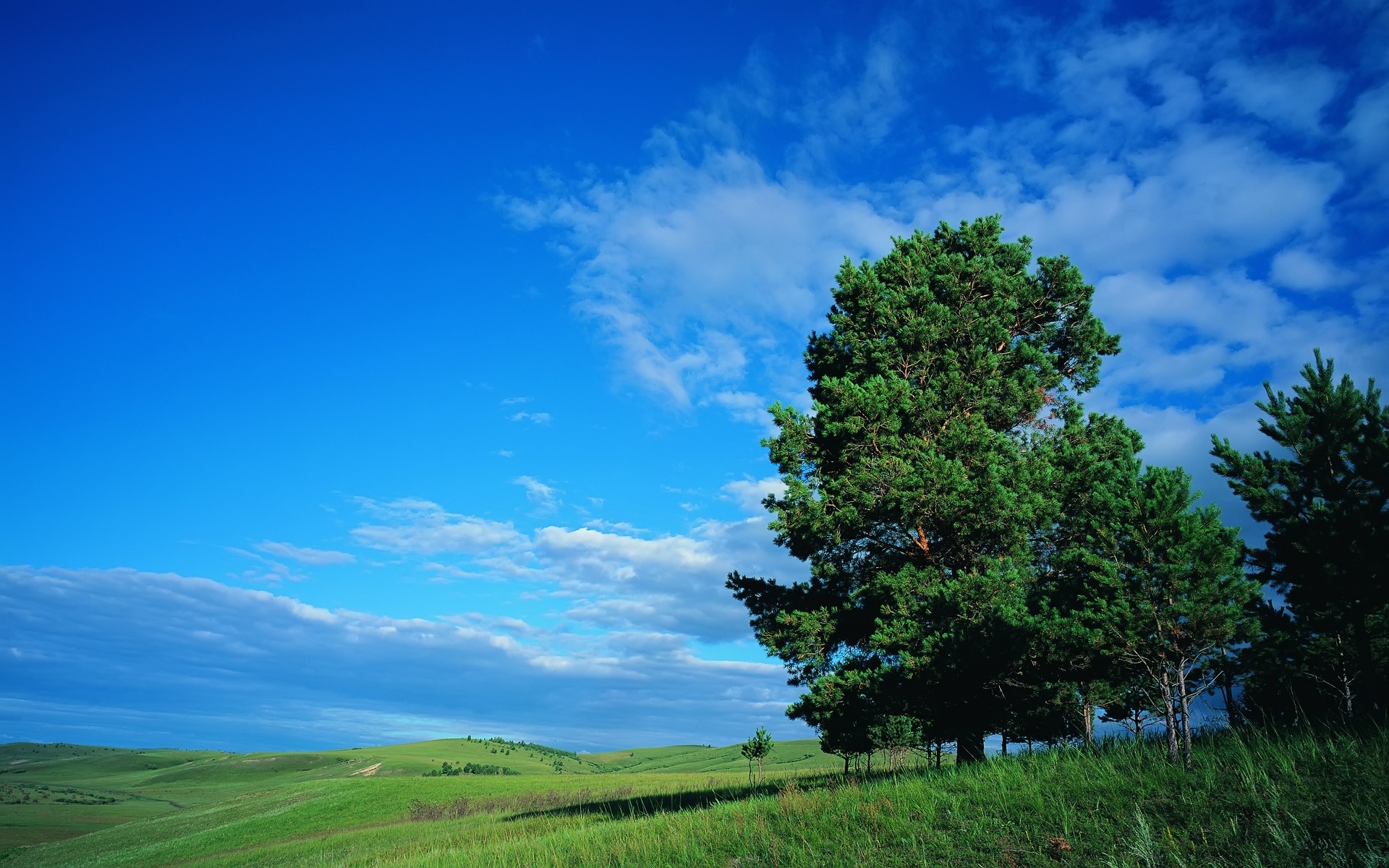2010/09/summer-hills-1920-1200-5572