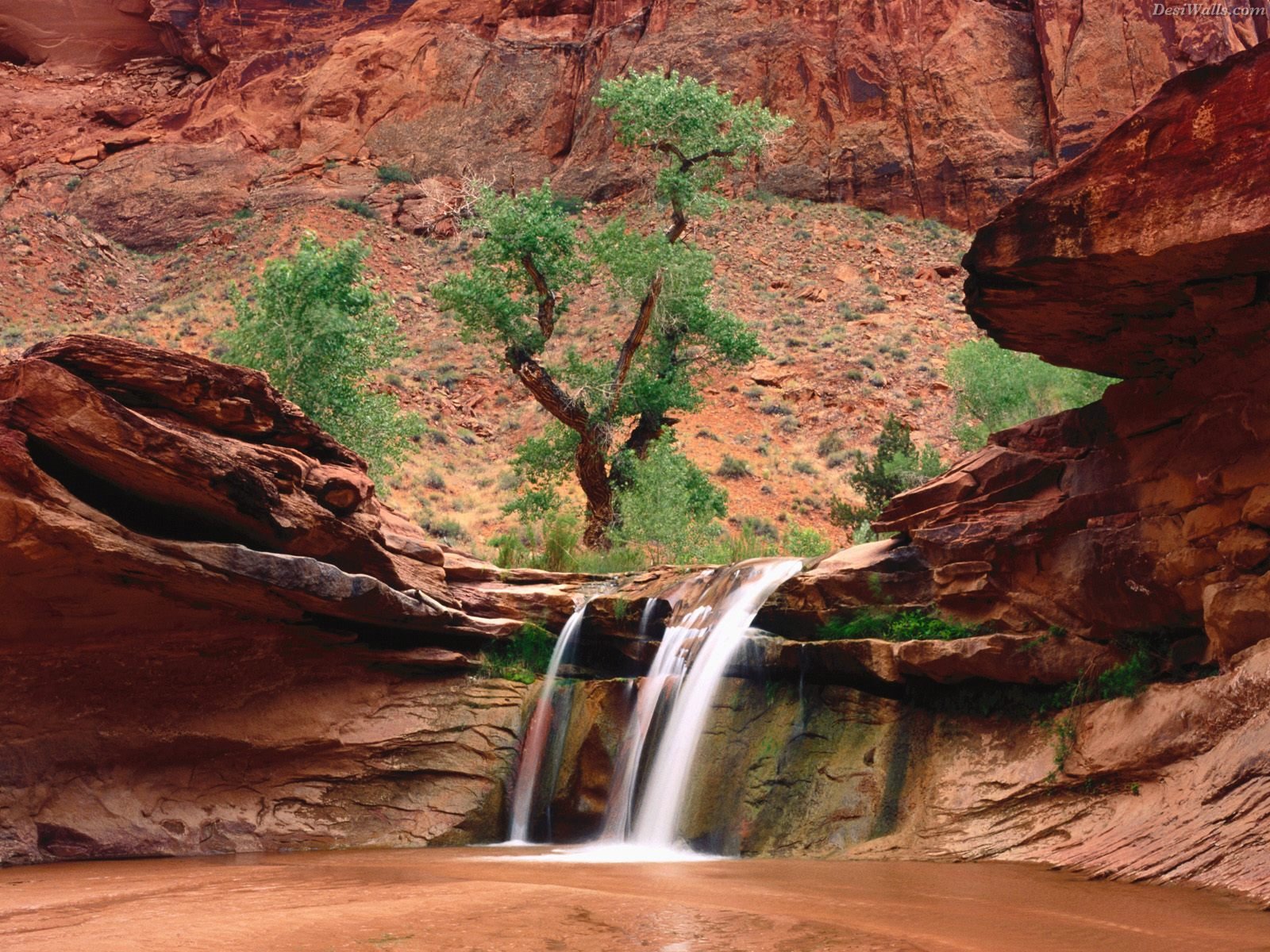 2010/10/desiwalls-coyote-gulch-escalante-river-canyons-utah1