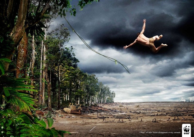 2010/10/wwf