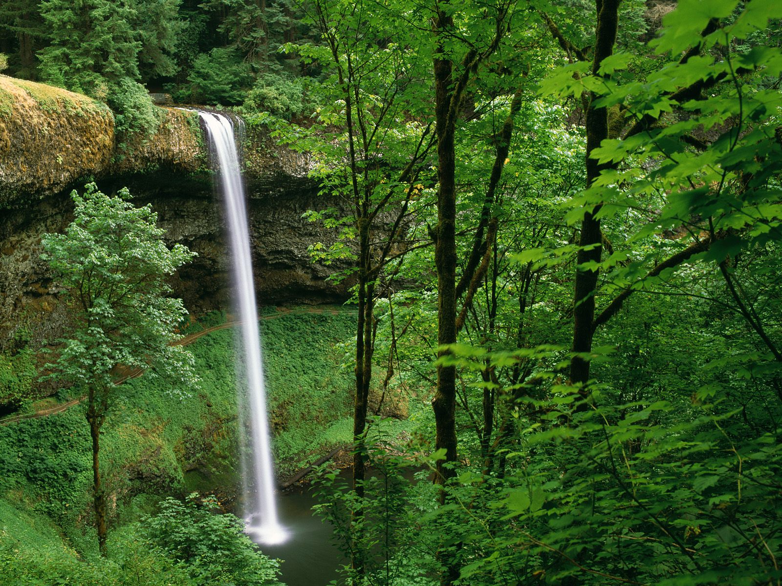 2011/01/silver-falls-state-park-oregon